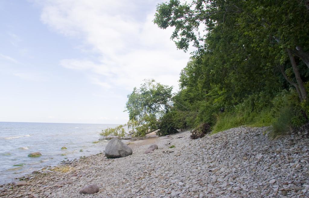 Camping Maennisalu Toila Bagian luar foto